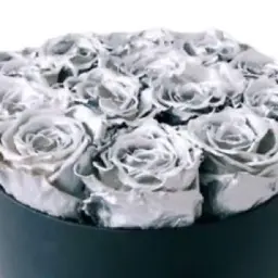 Silver Roses Box 2
